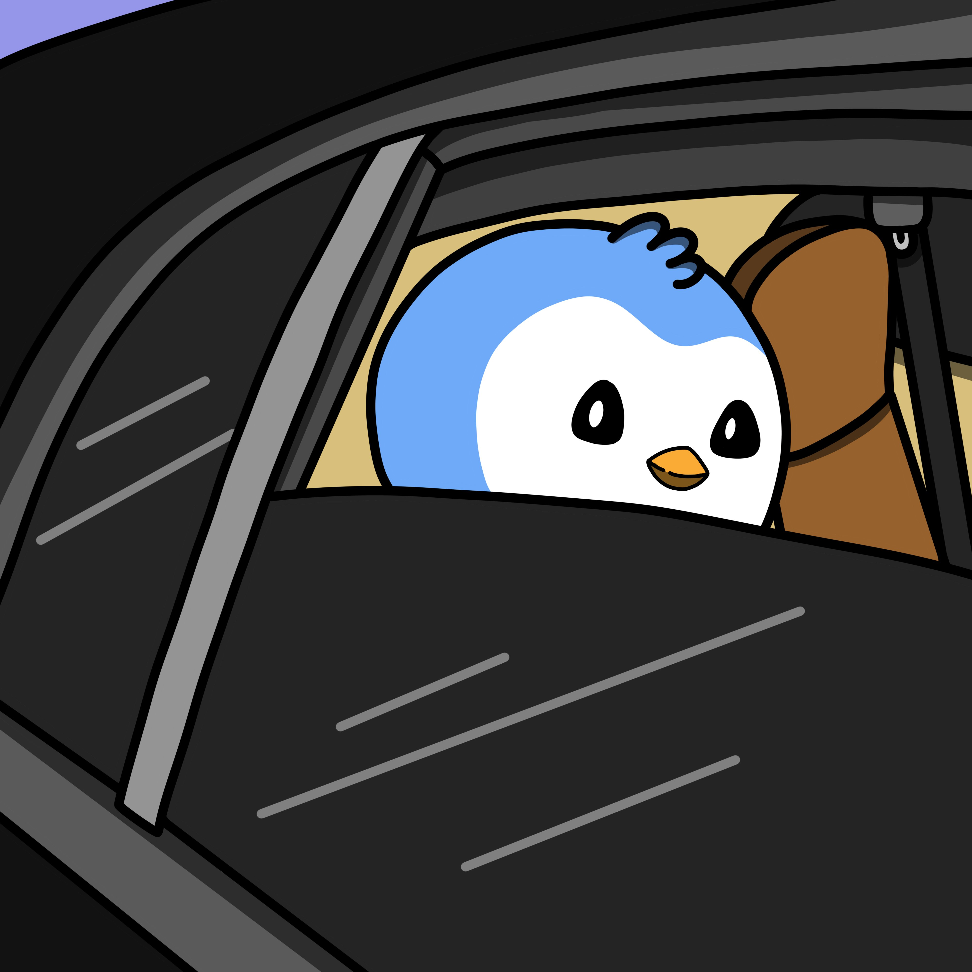 Paxton in luxury car